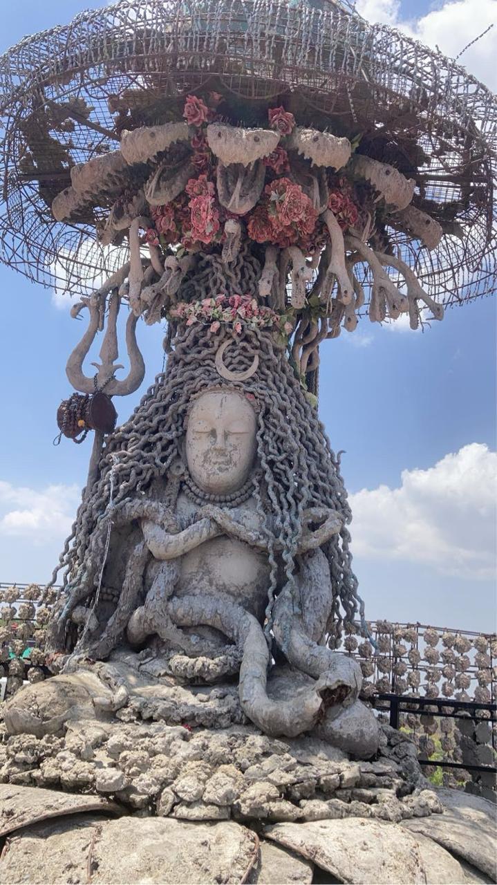 Shimla Kufri Chail Tour Package – 5 Days Himachal Trip | All India Travelers