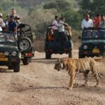 Corbett – Nainital – Kausani – Auli – Rudraprayag – Haridwar Tour (8 Days/7 Nights)