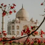 Same Day Agra Tour from Delhi – Taj Mahal & Agra Fort Sightseeing | All India Travelers